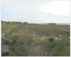  2025Ÿ679  ֱ  ϸ 511-16      ()