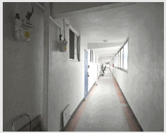  2025Ÿ718  ֽ ϻ걸 ȿڵ1 45 ġǼǾƮ 101 101009ȣ   Ʈ