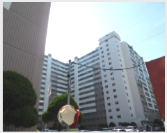  2025Ÿ718  ֽ ϻ걸 ȿڵ1 45 ġǼǾƮ 101 101009ȣ   Ʈ