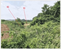  2025Ÿ��746 ���� ������ ��絿 535-2       ����(�Ӿ�)���