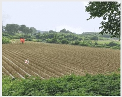  2025Ÿ��746 ���� ������ ��絿 535-2       ����(�Ӿ�)���