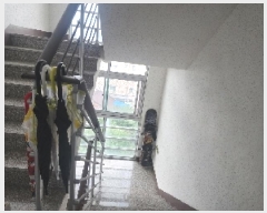  2025Ÿ765  ֽ  ǵ2 685-3 ̾ص޾Ʈ 1 5503ȣ   Ʈ