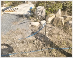  2025Ÿ��856  �������