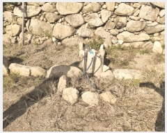  2025Ÿ��856  �������