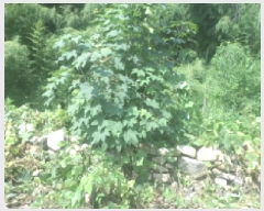  2025Ÿ��856  �������