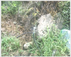  2025Ÿ��856  �������