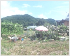  2025Ÿ��856  �������