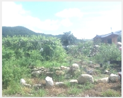  2025Ÿ��856  �������