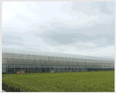  2025Ÿ��957  ����