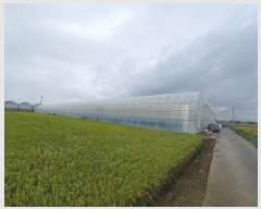  2025Ÿ��957  ����