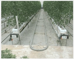  2025Ÿ��957  ����