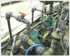  2025Ÿ��957  ����