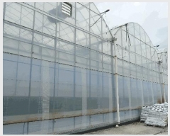  2025Ÿ��957  ����