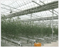  2025Ÿ��957  ����