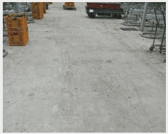  2025Ÿ��957  ����