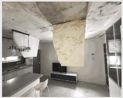  2025Ÿ31047  ֽ  Ƶ2 882-10 1103ȣ     ټ,