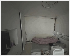  2025Ÿ31047  ֽ  Ƶ2 882-10 1103ȣ     ټ,