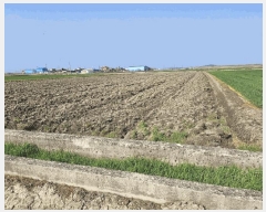  2025Ÿ31117    ȸ 1772-16      ()