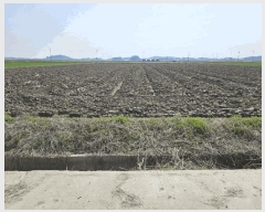  2025Ÿ31117    ȸ 1772-16      ()