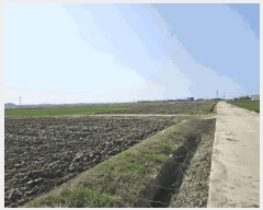  2025Ÿ31117    ȸ 1772-16      ()