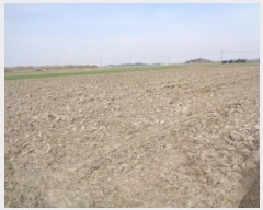  2025Ÿ31117    ȸ 1772-16      ()