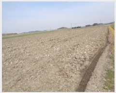  2025Ÿ31117    ȸ 1772-16      ()