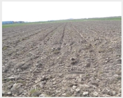  2025Ÿ31117    ȸ 1772-16      ()