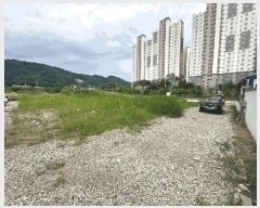  2025Ÿ31164  ֽ   1264-8      ()