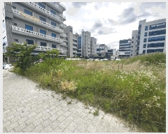  2025Ÿ31164  ֽ   1264-8      ()