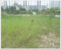  2025Ÿ31164  ֽ   1264-8      ()