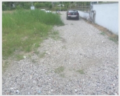  2025Ÿ31164  ֽ   1264-8      ()