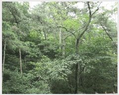  2025Ÿ��31167  �Ӿ߰��