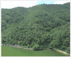  2025Ÿ��31167  �Ӿ߰��