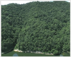  2025Ÿ��31167  �Ӿ߰��