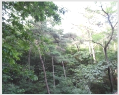  2025Ÿ��31167  �Ӿ߰��