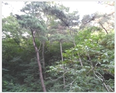  2025Ÿ��31167  �Ӿ߰��