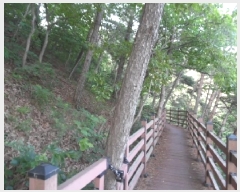  2025Ÿ��31167  �Ӿ߰��