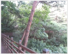  2025Ÿ��31167  �Ӿ߰��