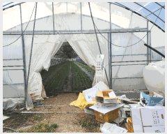  2025Ÿ31195  ȱ  ڻ긮 1605      ()