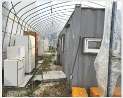  2025Ÿ31195  ȱ  ڻ긮 1605      ()