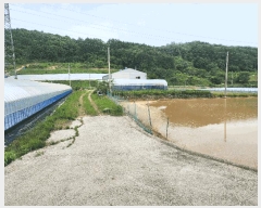  2025Ÿ31195  ȱ  ڻ긮 1605      ()