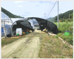  2025Ÿ31195  ȱ  ڻ긮 1605      ()