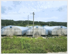  2025Ÿ31195  ȱ  ڻ긮 1605      ()