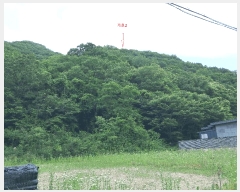  2025Ÿ31306  ֱ Ҿ ȭɸ 29-1      (Ӿ)