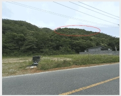  2025Ÿ31306  ֱ Ҿ ȭɸ 29-1      (Ӿ)