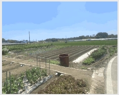  2025Ÿ31332   鱸 鱸 295      ()