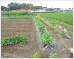  2025Ÿ31332   鱸 鱸 295      ()