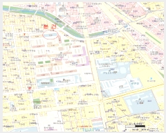  2025Ÿ31343  ֽ  ϵ 416 켺Ʈ 119 6607ȣ   Ʈ