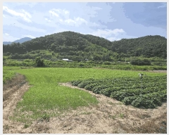  2025Ÿ��31359 ���� ���ֱ� ���̸� ��õ�� 489-5      ����(��)���