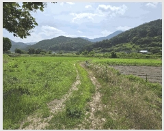  2025Ÿ��31359 ���� ���ֱ� ���̸� ��õ�� 489-5      ����(��)���